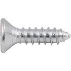 Parafuso Autoatarraxante 3,9x16 Phillips C/ 20 Peças Vonder