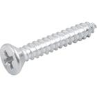 Parafuso Autoatarraxante 3,9x25 Phillips C/ 20 Peças Vonder