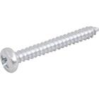 Parafuso Autoatarraxante 3,9x32 Phillips C/ 20 Peças Vonder