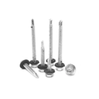 Parafuso Brocante Ruspert 100 Peças Wm 12x2