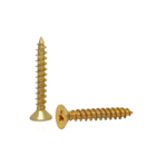 Parafuso Chip Cabeça Chata Za 100 Peças Wm 3.5x16