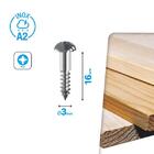Parafuso de Aço para Madeira 3x16mm 40 Peças