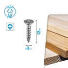 Parafuso de Aço para Maderias Chipboard 3x12mm 45 Peças Standers