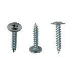 Parafuso Forro Ponta Agulha 4,2x19 Lentilha Phillips Stein 16