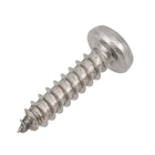 Parafuso de Inox para Área Molhada 2,9x13mm Auto Atarraxante Panela Philips 20 peças