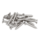 Parafuso de Inox para Área Molhada 3,5x19mm Auto Atarraxante Chata Philips 20 peças