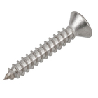 Parafuso de Inox para Área Molhada 3,5x22mm Auto Atarraxante Chata Philips 15 peças