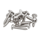 Parafuso de Inox para Área Molhada 3,9x19mm Auto Atarraxante Panela Philips 15 peças