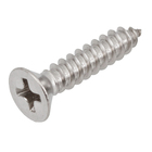 Parafuso de Inox para Área Molhada 3,9x19mm Auto Atarraxante Chata Philips 15 peças