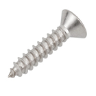 Parafuso de Inox para Área Molhada 3,9x19mm Auto Atarraxante Chata Philips 15 peças