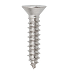 Parafuso de Inox para Área Molhada 3,9x19mm Auto Atarraxante Chata Philips 15 peças