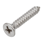 Parafuso de Inox para Área Molhada 3,9x22mm Auto Atarraxante Chata Philips 10 peças