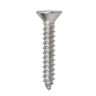 Parafuso de Inox para Área Molhada 3,9x22mm Auto Atarraxante Chata Philips 10 peças