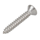 Parafuso de Inox para Área Molhada 3,9x25mm Auto Atarraxante Chata Philips 10 peças