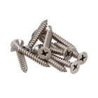 Parafuso de Inox para Área Molhada 4,2x25mm Auto Atarraxante Chata Fenda 10 peças