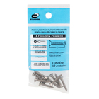 Parafuso de Inox para Área Molhada 4,2x25mm Auto Atarraxante Chata Fenda 10 peças