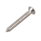 Parafuso de Inox para Área Molhada 4,2x32mm Auto Atarraxante Chata Fenda 10 peças