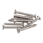 Parafuso de Inox para Área Molhada 4,2x32mm Auto Atarraxante Chata Fenda 10 peças