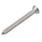 Parafuso de Inox para Área Molhada 4,8x45mm Auto Atarraxante Chata Fenda 5 peças