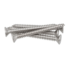 Parafuso de Inox para Área Molhada 4,8x50mm Auto Atarraxante Chata Philips 5 peças