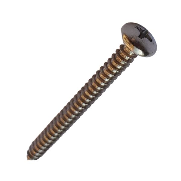 Parafuso Inox Auto Atarraxante 4.8x50 Panela Philips 100 Pçs