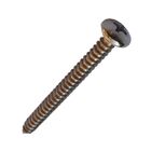 Parafuso Inox Auto Atarraxante 4.8x50mm Panela Philips 50 Pç