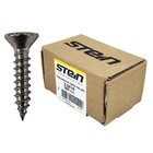 Parafuso Inox Auto Atarraxante Chata Phillips Stein 3,5x16 Ca