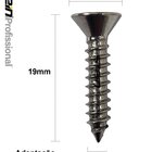 Parafuso Inox Auto Atarraxante Chata Phillips Stein 3,9x19 Ca
