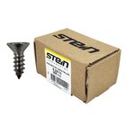 Parafuso Inox Auto Atarraxante Chata Phillips Stein 4,2x13 Ca