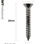 Parafuso Inox Auto Atarraxante Chata Phillips Stein 4,2x25 Ca