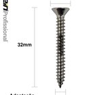 Parafuso Inox Auto Atarraxante Chata Phillips Stein 4,2x32 Ca