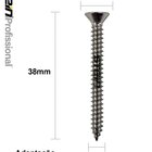 Parafuso Inox Auto Atarraxante Chata Phillips Stein 4,2x38 Ca