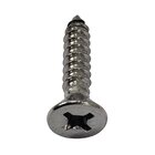 Parafuso Inox Auto Atarraxante Chata Phillips Stein 5,5x25 Ca