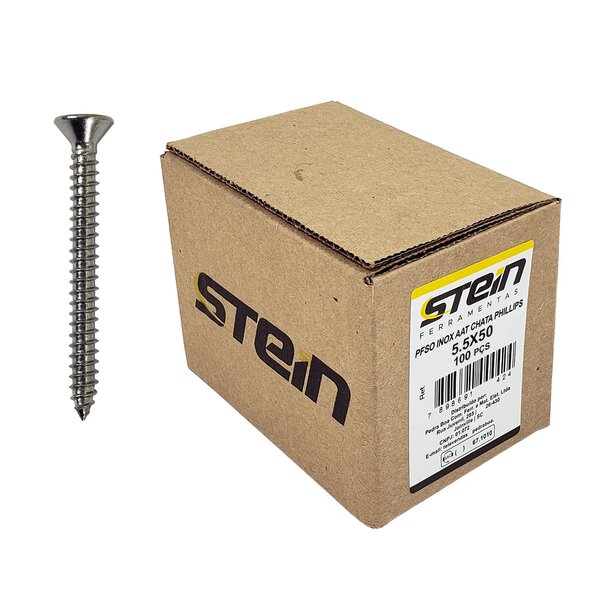 Parafuso Inox Auto Atarraxante Chata Phillips Stein 5,5x50 Ca