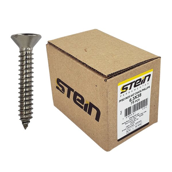Parafuso Inox Auto Atarraxante Chata Phillips Stein 6,3x38 Ca