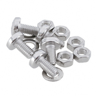 Parafuso de Inox para Área Molhada 5x10mm Máquina Panela Philips 5 peças