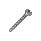 Parafusos 4,8x25mm Zincado Cabeça: Panela Fenda: Simples 10 unidades