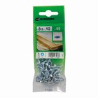 Parafuso Chipboard Cabeça Chata para Madeira 3,5x12mm com 45 peças Standers