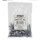Parafuso Parabolt Chumbador 20 Peças Stein - 1/4'x3.1/4'