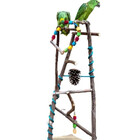 Parque Médio Morapet Natural Para Aves