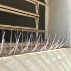 Passarinheira Espícula Pombos Transparente 0,12x0,33cm Glória