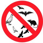 Passarinheira Romana Redonda Com 50un Sandalo - Ceramica