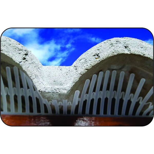 Passarinheira Universal Elo Kit 20 Metros - Transparente