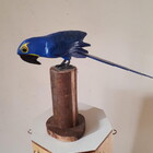 Pássaro Arara Azul No Toco (38 Cm)