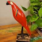 Pássaro Arara Vermelha 30cm - Bento de Sumé