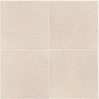 Pastilhas Cerâmicas Gonzalez 20x20 (pauba) - M²