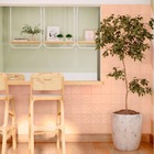 Pastilhas Cerâmicas Vivace 15x15 Cm (bologna) - M²