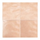 Pastilhas Cerâmicas Vivace 15x15 Cm (bologna) - M²