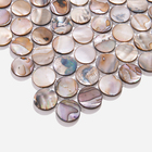 Pastilhas De Madrepérola (moritz)