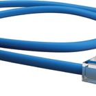 Patch Cord U/utp Cat.6 Cmx T568a/b 1.5 Metro Azul 35123000
